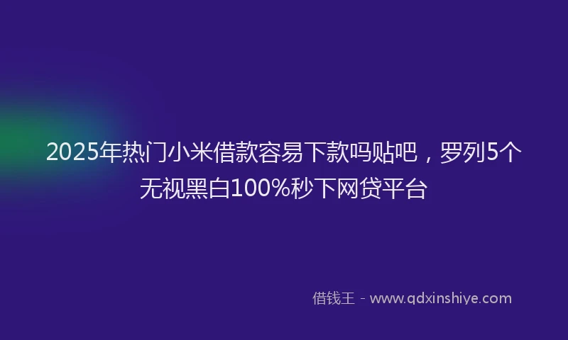 2025年热门小米借款容易下款吗贴吧，罗列5个无视黑白100%秒下网贷平台
