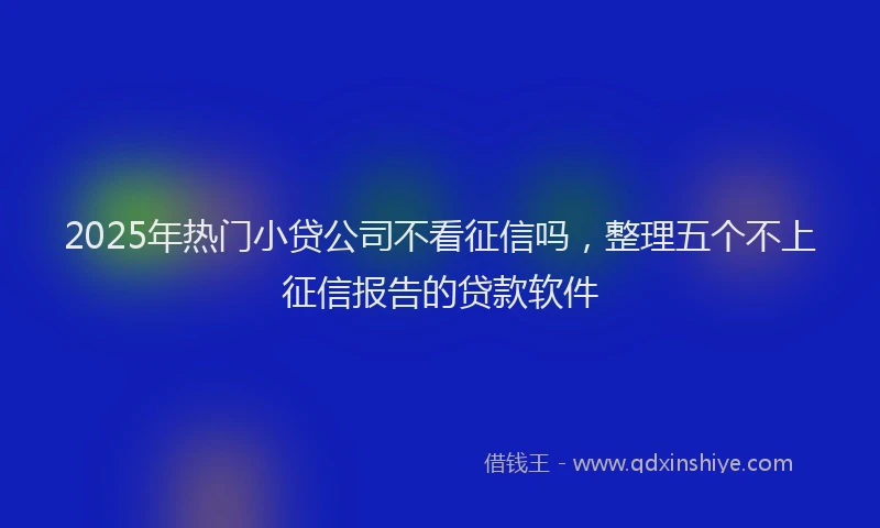 2025年热门小贷公司不看征信吗，整理五个不上征信报告的贷款软件