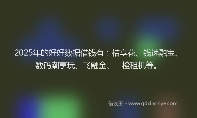 2025年的好好数据借钱有：桔享花、钱速融宝、数码潮享玩、飞融金、一橙租机等。