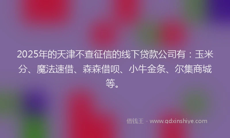 2025年的天津不查征信的线下贷款公司有：玉米分、魔法速借、森森借呗、小牛金条、尔集商城等。