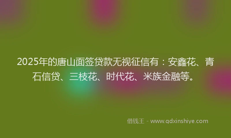 2025年的唐山面签贷款无视征信有：安鑫花、青石信贷、三枝花、时代花、米族金融等。