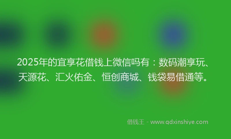 2025年的宜享花借钱上微信吗有：数码潮享玩、天源花、汇火佑金、恒创商城、钱袋易借通等。