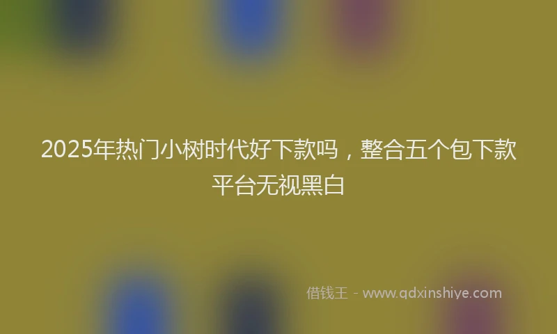 2025年热门小树时代好下款吗，整合五个包下款平台无视黑白