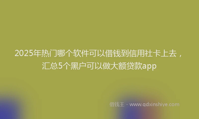 2025年热门哪个软件可以借钱到信用社卡上去，汇总5个黑户可以做大额贷款app