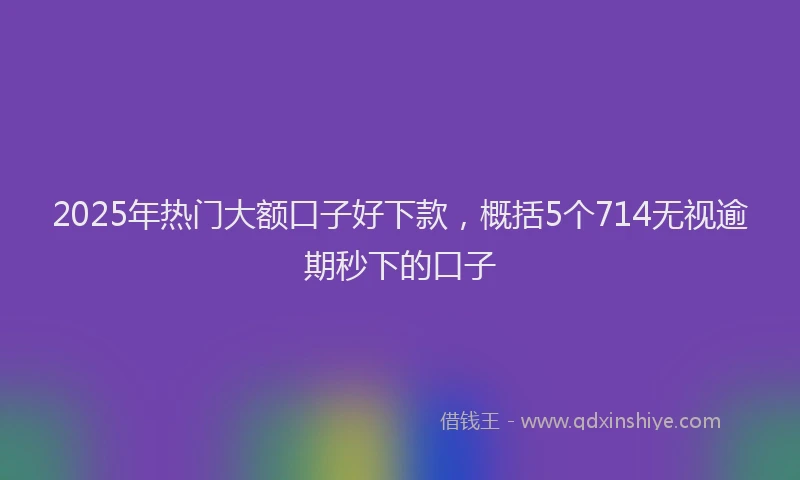 2025年热门大额口子好下款，概括5个714无视逾期秒下的口子
