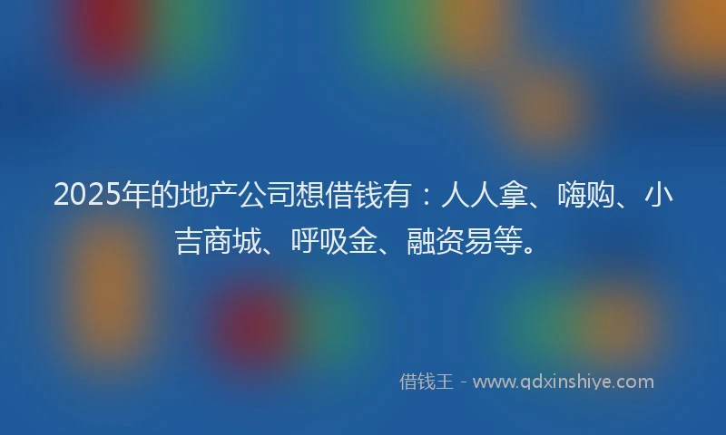 2025年的地产公司想借钱有：人人拿、嗨购、小吉商城、呼吸金、融资易等。