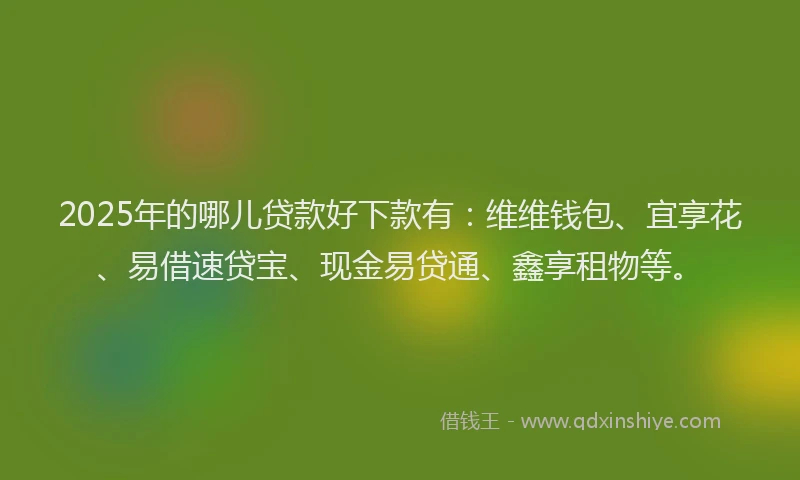 2025年的哪儿贷款好下款有：维维钱包、宜享花、易借速贷宝、现金易贷通、鑫享租物等。