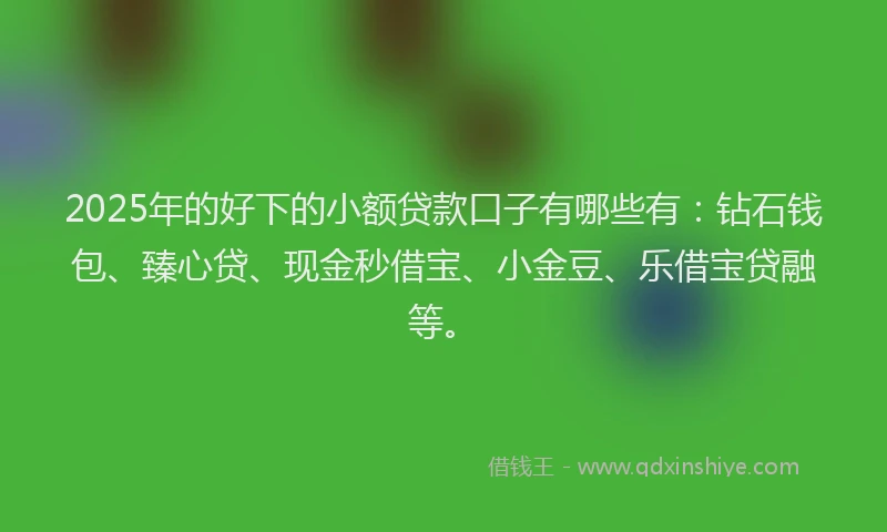 2025年的好下的小额贷款口子有哪些有：钻石钱包、臻心贷、现金秒借宝、小金豆、乐借宝贷融等。