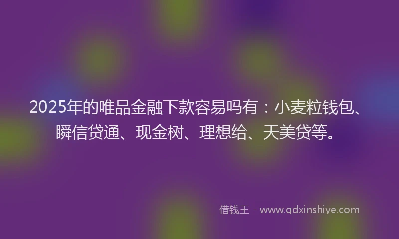 2025年的唯品金融下款容易吗有：小麦粒钱包、瞬信贷通、现金树、理想给、天美贷等。