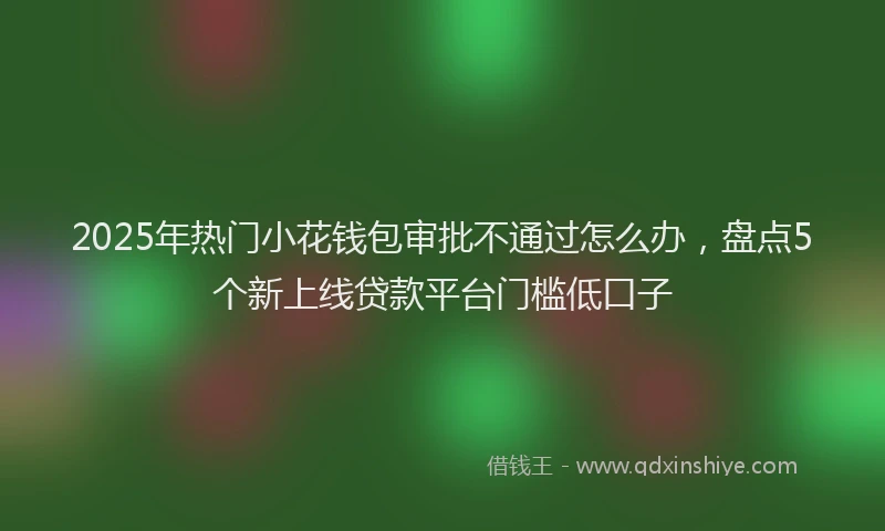 2025年热门小花钱包审批不通过怎么办，盘点5个新上线贷款平台门槛低口子