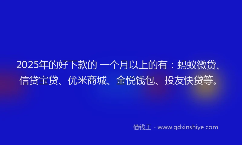 2025年的好下款的 一个月以上的有：蚂蚁微贷、信贷宝贷、优米商城、金悦钱包、投友快贷等。
