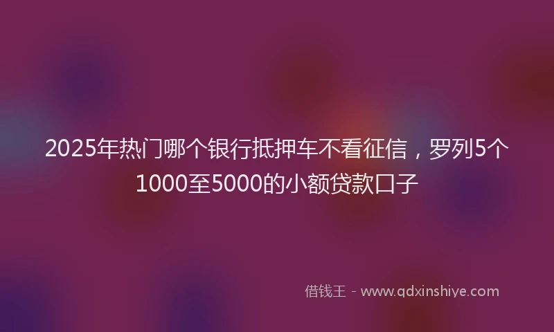 2025年热门哪个银行抵押车不看征信，罗列5个1000至5000的小额贷款口子