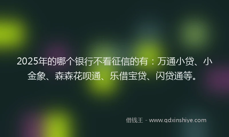 2025年的哪个银行不看征信的有：万通小贷、小金象、森森花呗通、乐借宝贷、闪贷通等。