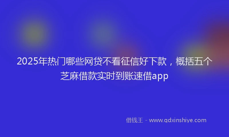 2025年热门哪些网贷不看征信好下款，概括五个芝麻借款实时到账速借app