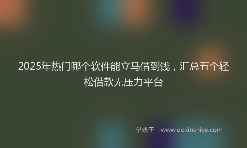 2025年热门哪个软件能立马借到钱，汇总五个轻松借款无压力平台