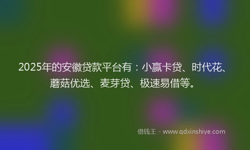2025年的安徽贷款平台有：小赢卡贷、时代花、蘑菇优选、麦芽贷、极速易借等。