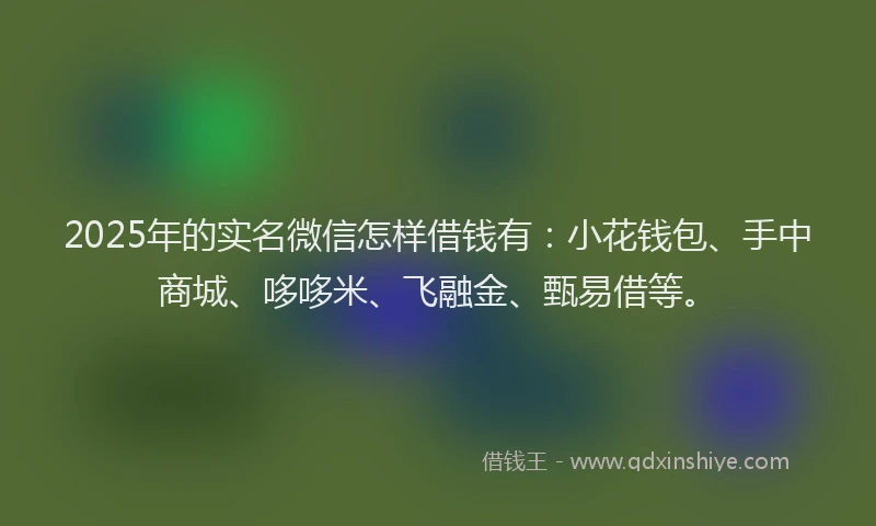 2025年的实名微信怎样借钱有：小花钱包、手中商城、哆哆米、飞融金、甄易借等。