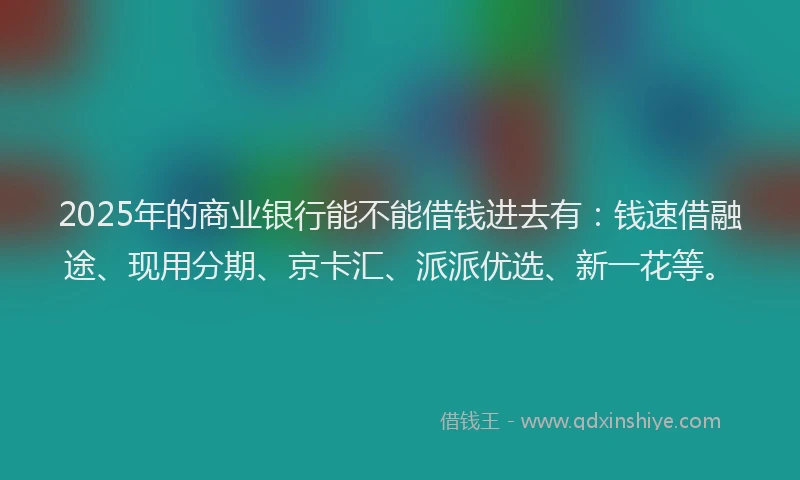 2025年的商业银行能不能借钱进去有：钱速借融途、现用分期、京卡汇、派派优选、新一花等。