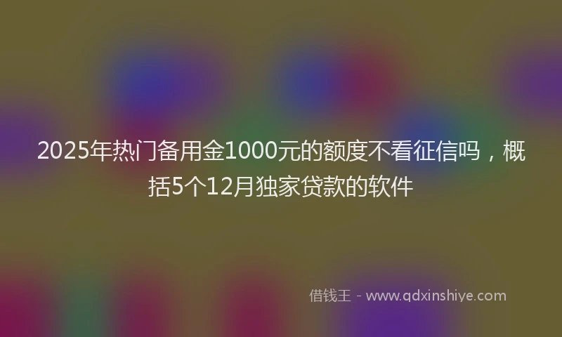 2025年热门备用金1000元的额度不看征信吗，概括5个12月独家贷款的软件