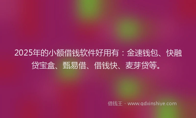 2025年的小额借钱软件好用有：金速钱包、快融贷宝盒、甄易借、借钱快、麦芽贷等。