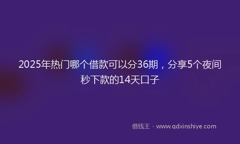 2025年热门哪个借款可以分36期，分享5个夜间秒下款的14天口子