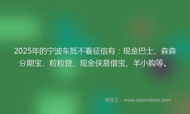 2025年的宁波车抵不看征信有：现金巴士、森森分期宝、粒粒贷、现金侠易借宝、羊小购等。