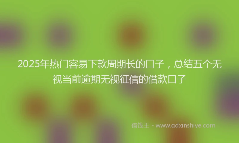 2025年热门容易下款周期长的口子，总结五个无视当前逾期无视征信的借款口子