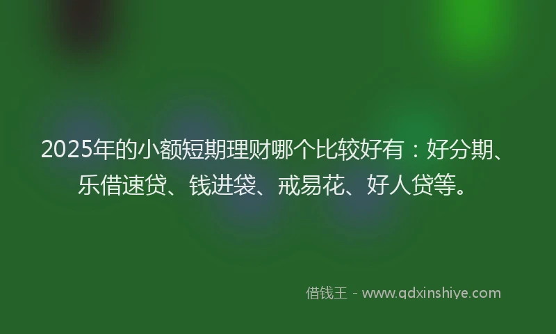 2025年的小额短期理财哪个比较好有：好分期、乐借速贷、钱进袋、戒易花、好人贷等。