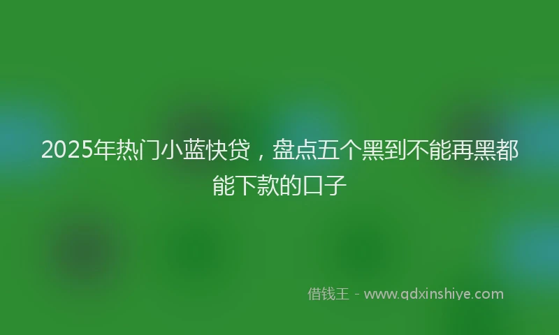 2025年热门小蓝快贷，盘点五个黑到不能再黑都能下款的口子