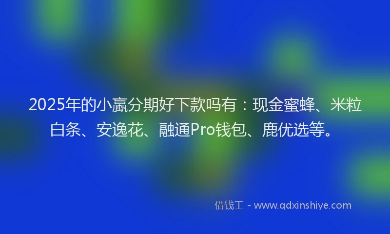 2025年的小蠃分期好下款吗有：现金蜜蜂、米粒白条、安逸花、融通Pro钱包、鹿优选等。