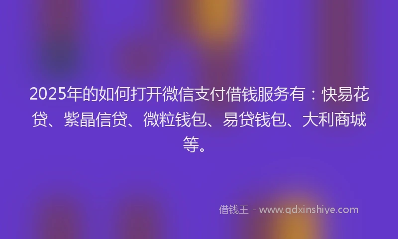 2025年的如何打开微信支付借钱服务有：快易花贷、紫晶信贷、微粒钱包、易贷钱包、大利商城等。