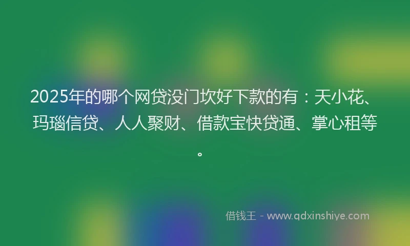 2025年的哪个网贷没门坎好下款的有：天小花、玛瑙信贷、人人聚财、借款宝快贷通、掌心租等。