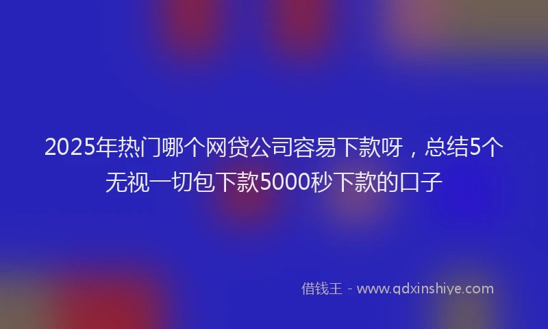 2025年热门哪个网贷公司容易下款呀，总结5个无视一切包下款5000秒下款的口子
