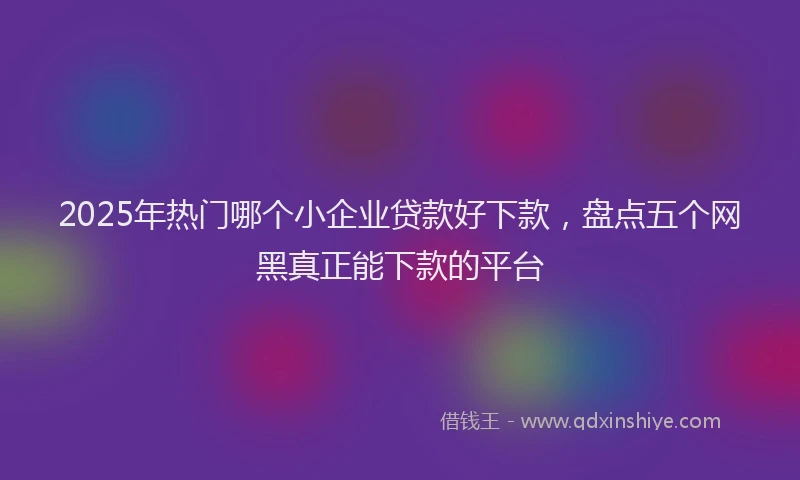 2025年热门哪个小企业贷款好下款，盘点五个网黑真正能下款的平台