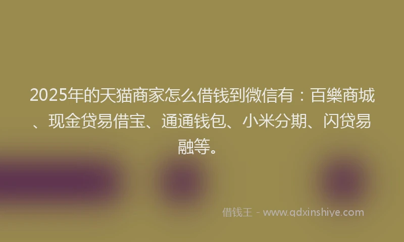2025年的天猫商家怎么借钱到微信有：百樂商城、现金贷易借宝、通通钱包、小米分期、闪贷易融等。