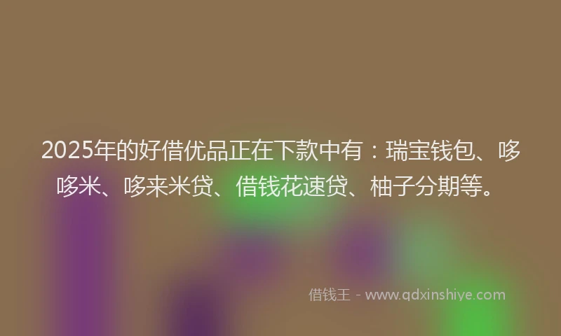 2025年的好借优品正在下款中有：瑞宝钱包、哆哆米、哆来米贷、借钱花速贷、柚子分期等。