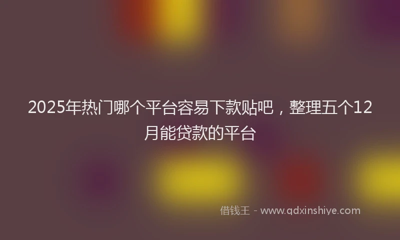 2025年热门哪个平台容易下款贴吧，整理五个12月能贷款的平台