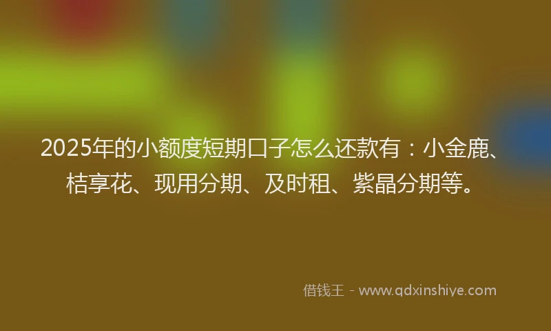 2025年的小额度短期口子怎么还款有：小金鹿、桔享花、现用分期、及时租、紫晶分期等。
