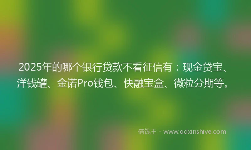 2025年的哪个银行贷款不看征信有：现金贷宝、洋钱罐、金诺Pro钱包、快融宝盒、微粒分期等。