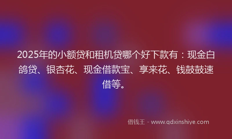 2025年的小额贷和租机贷哪个好下款有：现金白鸽贷、银杏花、现金借款宝、享来花、钱鼓鼓速借等。