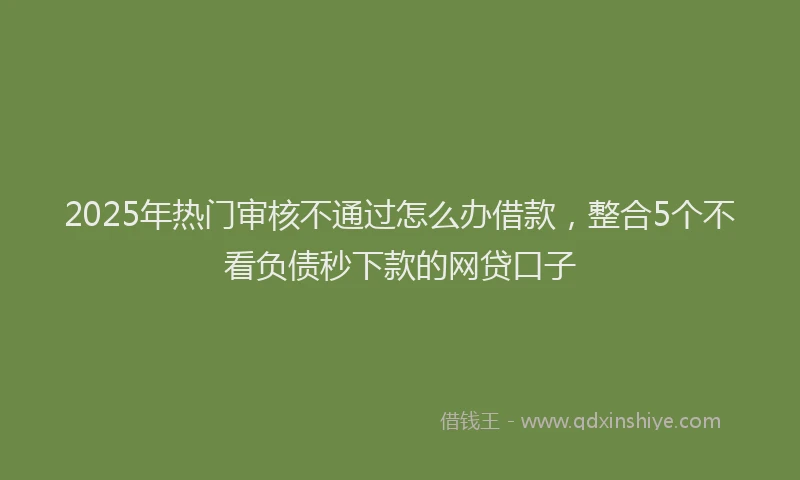 2025年热门审核不通过怎么办借款，整合5个不看负债秒下款的网贷口子