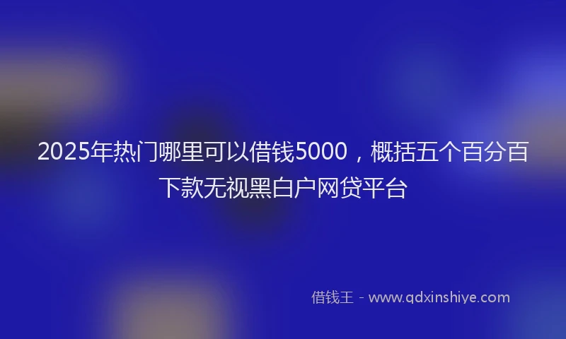 2025年热门哪里可以借钱5000，概括五个百分百下款无视黑白户网贷平台