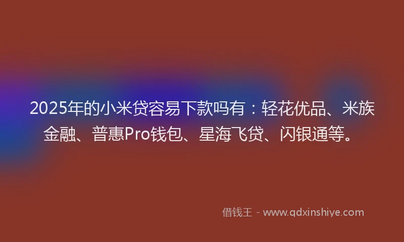 2025年的小米贷容易下款吗有:轻花优品、米族金融、普惠Pro钱包、星海飞贷、闪银通等。