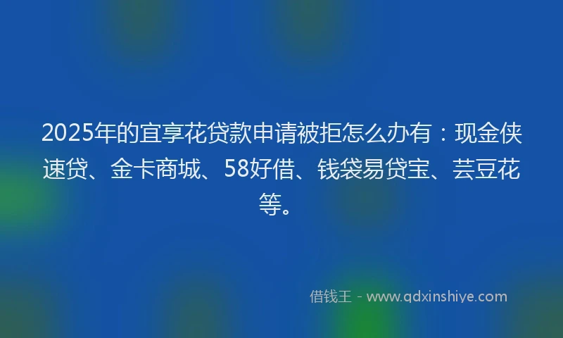2025年的宜享花贷款申请被拒怎么办有：现金侠速贷、金卡商城、58好借、钱袋易贷宝、芸豆花等。
