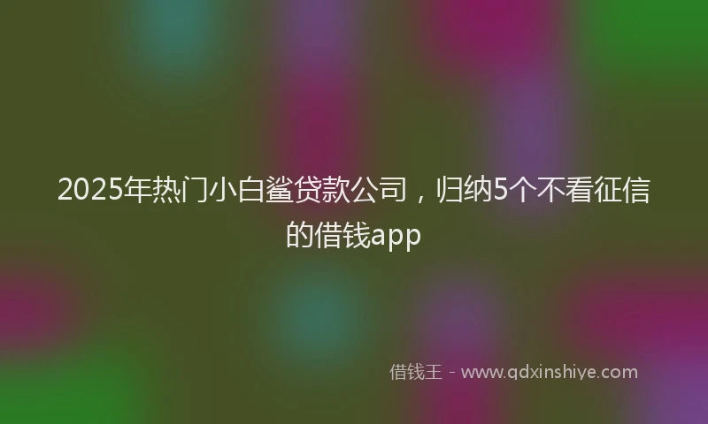 2025年热门小白鲨贷款公司，归纳5个不看征信的借钱app