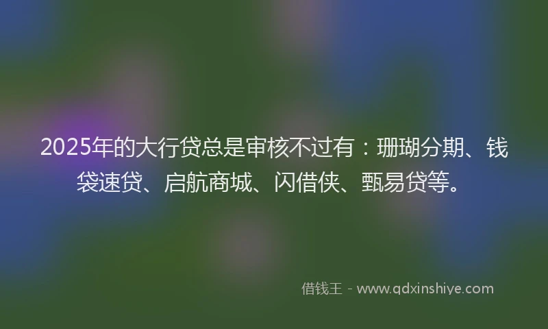2025年的大行贷总是审核不过有：珊瑚分期、钱袋速贷、启航商城、闪借侠、甄易贷等。