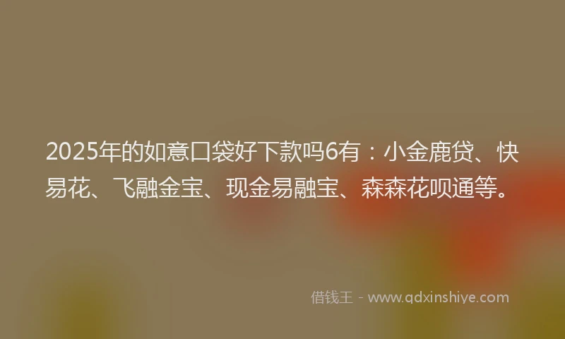 2025年的如意口袋好下款吗6有：小金鹿贷、快易花、飞融金宝、现金易融宝、森森花呗通等。