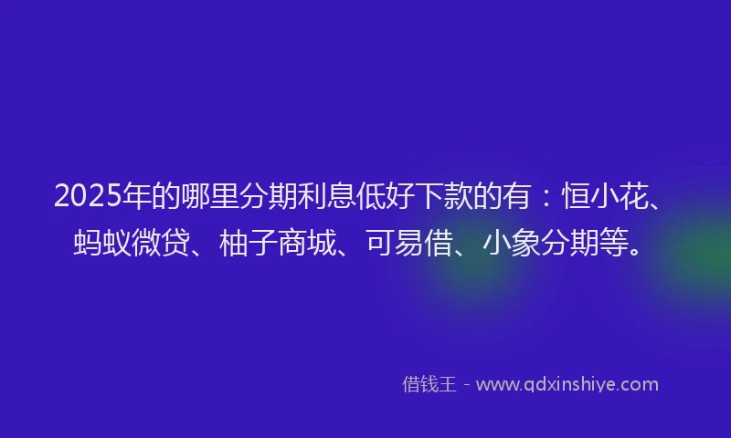 2025年的哪里分期利息低好下款的有：恒小花、蚂蚁微贷、柚子商城、可易借、小象分期等。