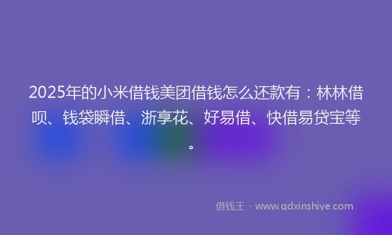 2025年的小米借钱美团借钱怎么还款有：林林借呗、钱袋瞬借、浙享花、好易借、快借易贷宝等。