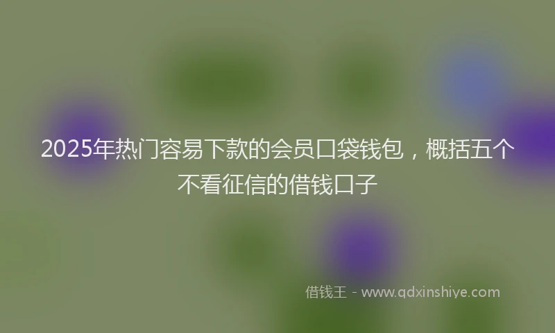 2025年热门容易下款的会员口袋钱包，概括五个不看征信的借钱口子